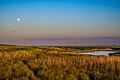 * Nomination Dunes and saltmarshes of Spiekeroog at sunset --Stephan Sprinz 09:18, 7 June 2023 (UTC) * Promotion  Support Good quality. --LexKurochkin 12:39, 7 June 2023 (UTC)