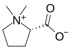 Structural formula of stachydrine