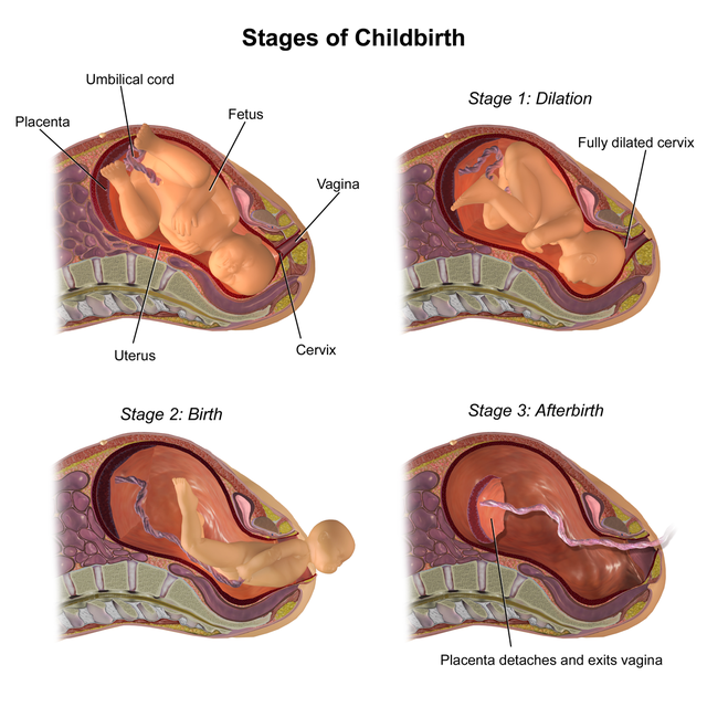 Childbirth Injury  Physical Problems After Childbirth