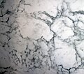 Statuarietto White Marble (Apuan Marble Formation, Tertiary metamorphism of Jurassic limestones; Carrara region, Italy) 3 (40899048665).jpg