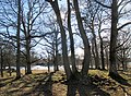 9960 2022-03-09 onsdag Stensättning på Getaberget, Väsmestorps naturreservatt, Sörby sn, Falköpings kn, Västergötland.