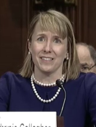 <span class="mw-page-title-main">Stephanie A. Gallagher</span> American judge (born 1972)