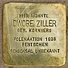 Stumbling Stone Dwore Ziller Brunnenstrasse 114 0035.JPG