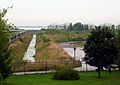 A Strelna canal leading to the Gulf of Finland