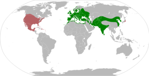 Streptopelia decaocto range map.png