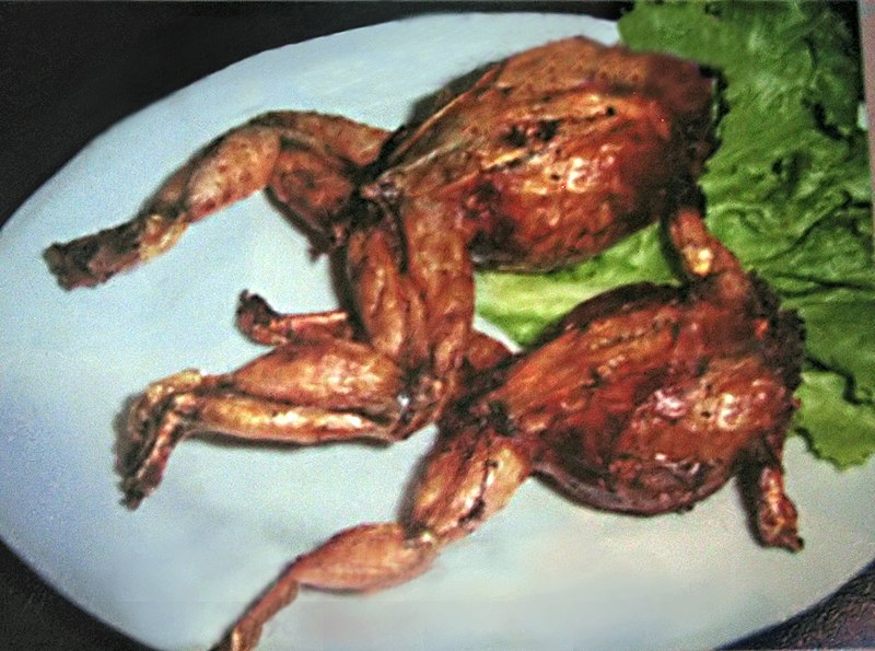 File:Stuffed frogs.jpg