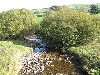 The Swinhope Burn