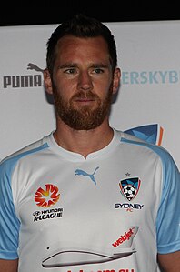 Shane Smeltz: Carriera, Palmarès, Note