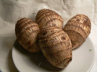 375px-Taro_corms_2.jpg