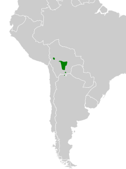 Distribución geográfica de la bandurrita boliviana.