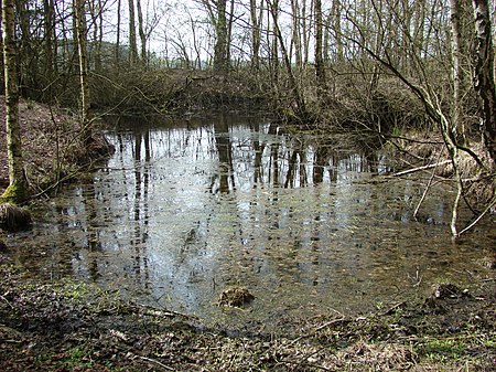 Teich Gerdehauser Moor