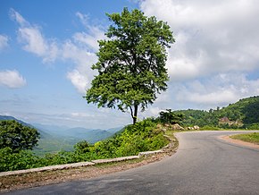 The Road to Shan State.jpg