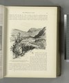 The valley of the Leontes, near the coast. The river, the Nahr el Kâsîmiyeh, is of considerable depth at this point, and flows hence to the sea in a very serpentine course (NYPL b10607452-80600).tiff