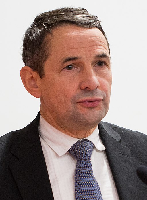 Thierry Mandon, 2015 (cropped)
