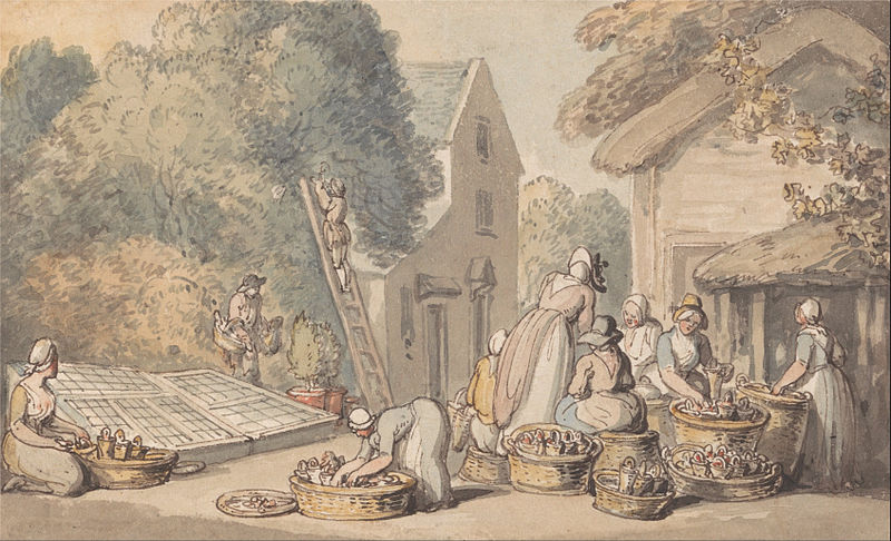 File:Thomas Rowlandson - Picking Mulberries - Google Art Project.jpg