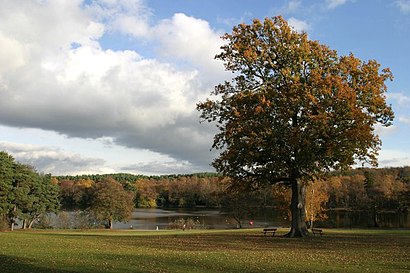 How to get to Tilgate Park with public transport- About the place