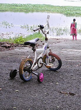 Tiny Bicycle