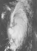 Tropical Storm Ernesto 1982.JPG