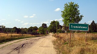 Trzmielewo, Pomeranian Voivodeship Village in Pomeranian, Poland