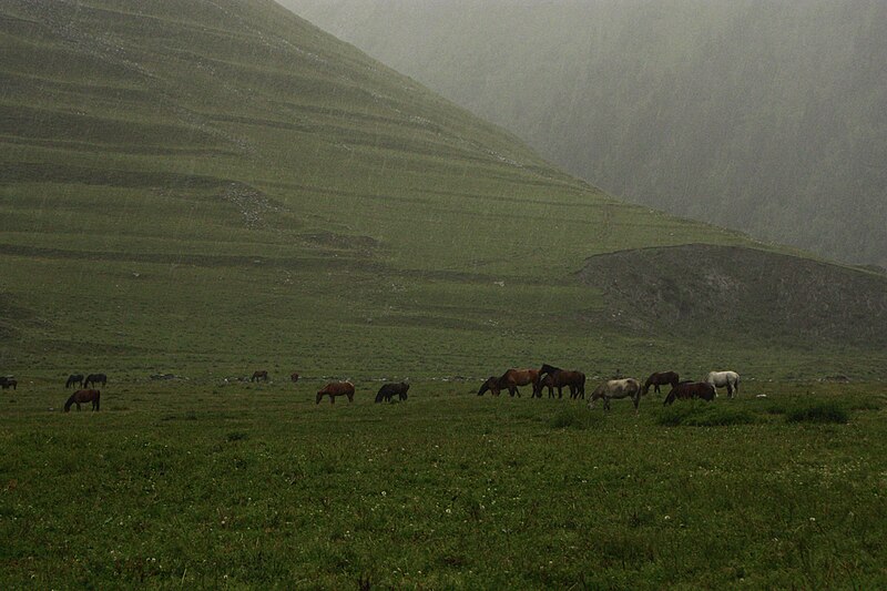 File:Tusheti 16.jpg