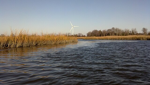 Wetlands seen along Canary Creek near Lewes.