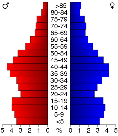 2000 census age pyramid for Grundy County