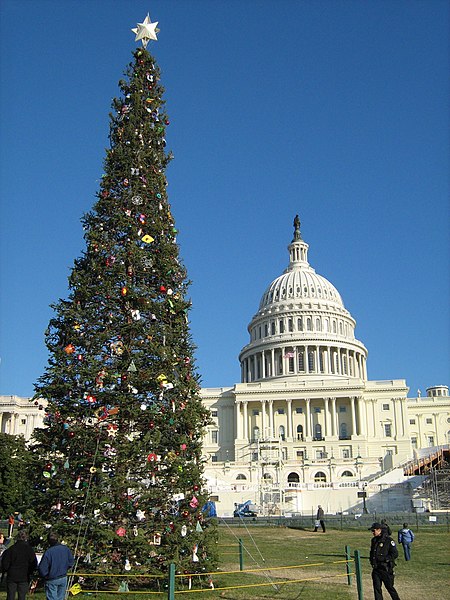 File:US Capitol Christmas tree 2008 east-d.jpg
