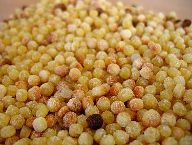 UncookedFregula.jpg