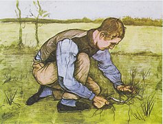 Boy Cutting Grass with a Sickle