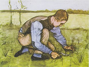 Jongeman, gras snijdend met een sikkel
