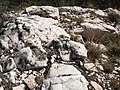 View Looking East from the Harding Pegmatite Mine near Dixon, New Mexico USA 02.jpg