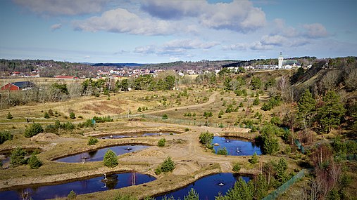 Fjärås Bräcka Naturreservat, mars 2021. I bakgrunden ses Fjärås kyrka.