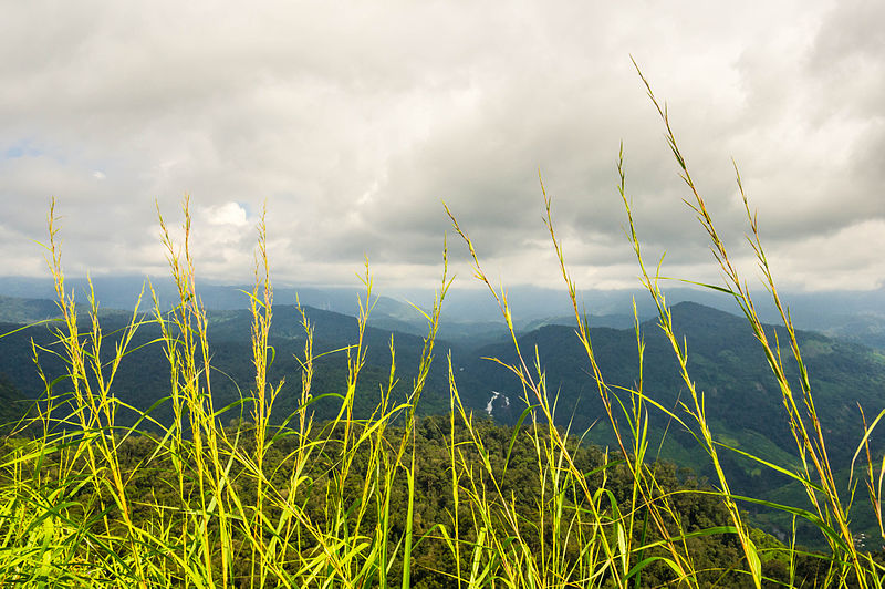 File:View of water falls and hills in Munnar from Nallamudi view point.jpg