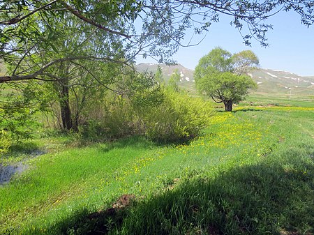 Village wilderness Chanaghchi.JPG