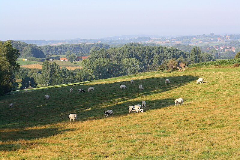 File:Vlaamse Ardennen 04.jpg