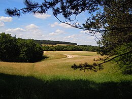 Obrázek v Infoboxu.