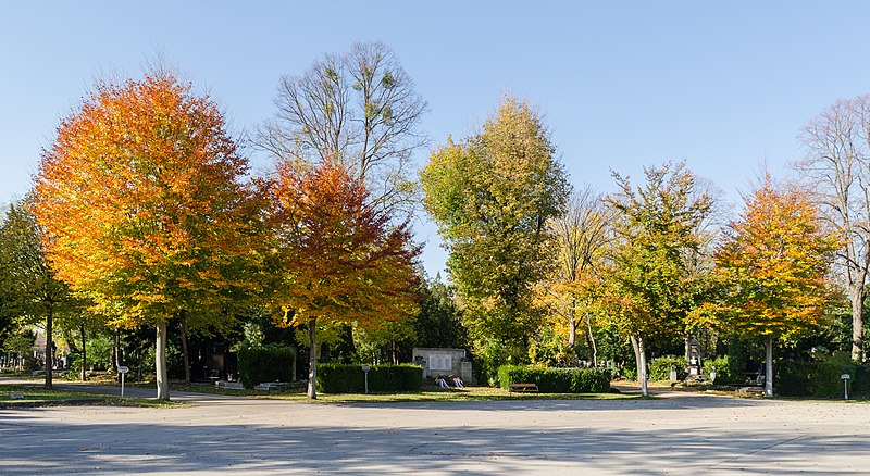 File:Wien, Zentralfriedhof, 2017-11 CN-17.jpg