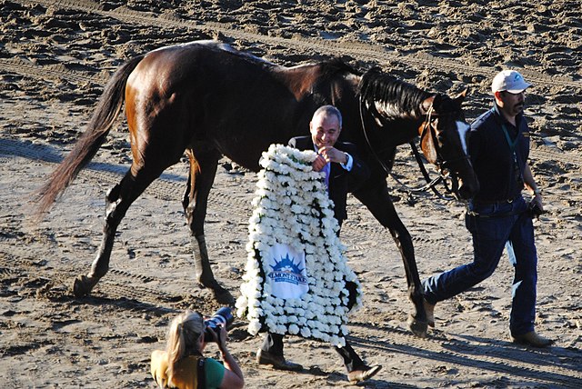 The winner's blanket, made of white carnations