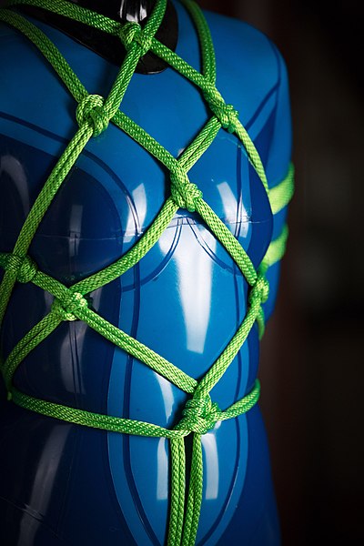 File:Womain-in-blue-latex-catsuit-and-rope-bondage.jpg