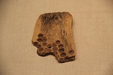 Oracle bone with drilled divots Xiajiadian Culture Oracle Bone 1.jpg