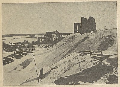 Ruiny zamčyšča u Nowahrudku.
