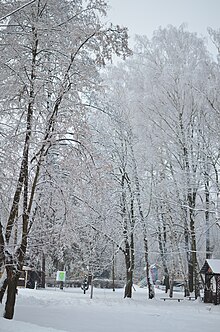 Парк имени Чекмана зимой. Хмельницкий. Фото 22.jpg