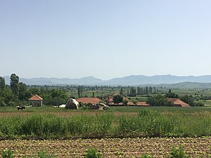 Поглед на селото Трновци