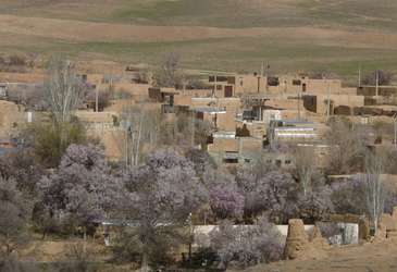 روستای طایقان محلات