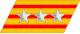 Coronel