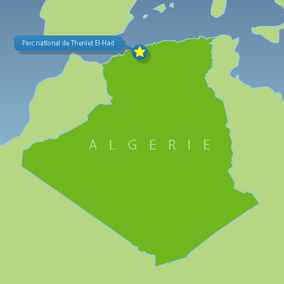 0102 GM Algerian National Parks Theniet El-Had National Park 01.png