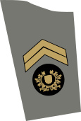 11 - Sargento-mor.svg