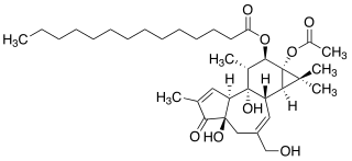 12-<i>O</i>-Tetradecanoylphorbol-13-acetate Chemical compound