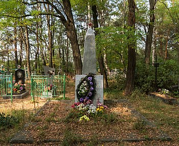 Братська могила радянських воїнів на цвинтарі у с. Залізня
