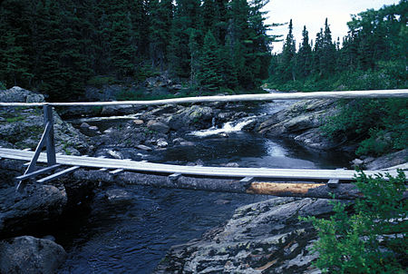 Lower North Branch Little Southwest Miramichi River, a tributary to the Little Southwest Miramichi River (IR Walker 1986). 1986 Lower N Branch LSW Miramichi2.jpg